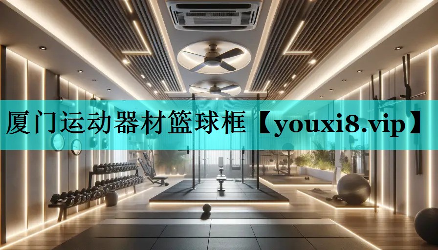 厦门运动器材篮球框